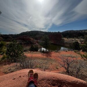 Meet your Posher, Gina